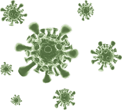3D Virus Illustration